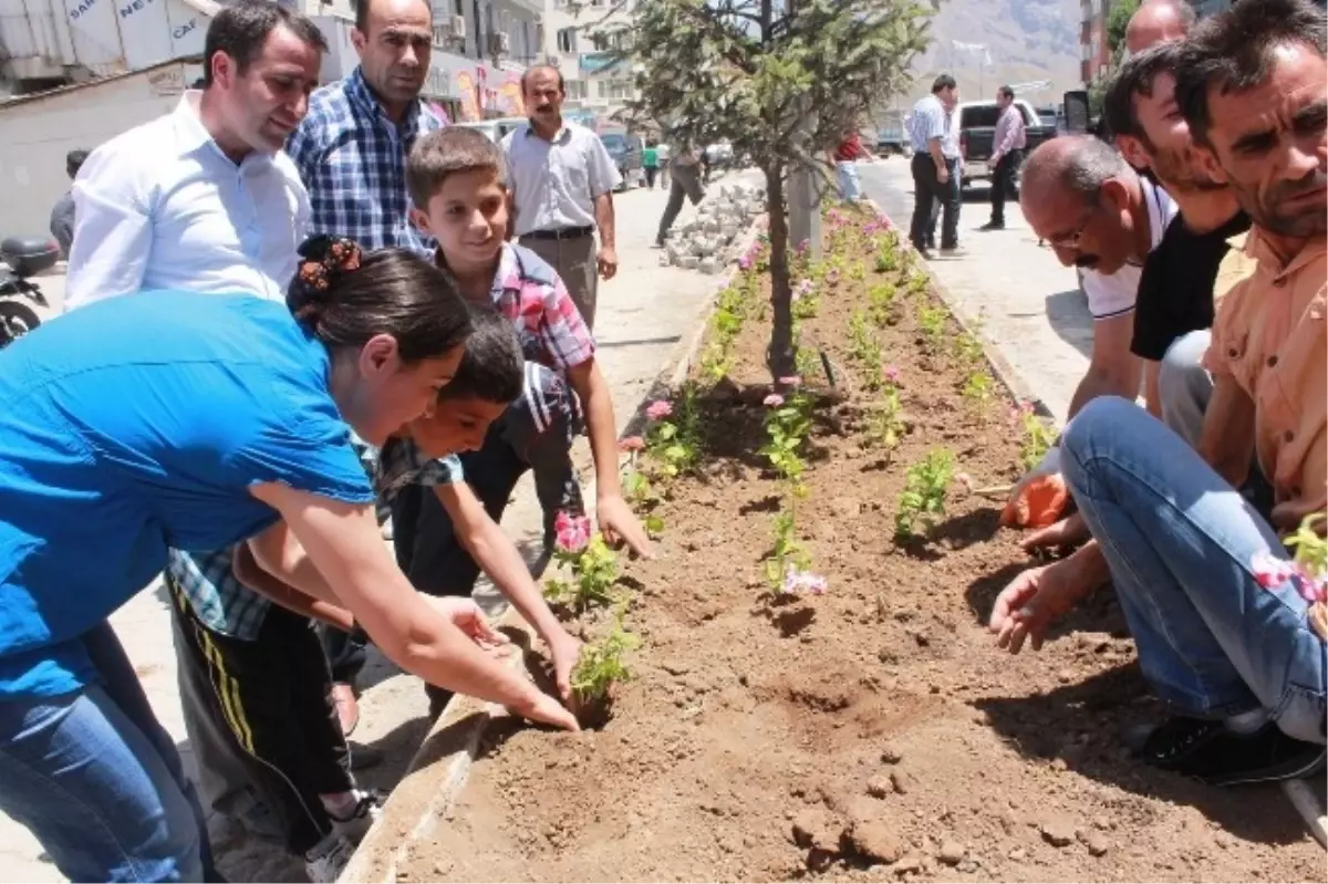 Hakkari Belediyesinden Yeşillendirme Çalışması