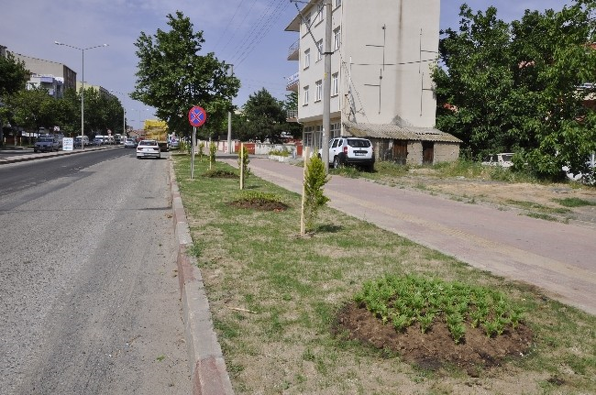 Muratlı Ağaçlandırılıyor