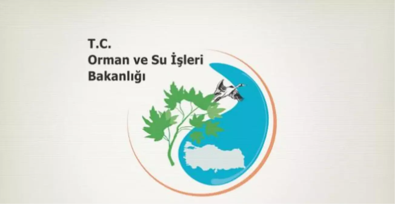 Orman ve Su İşleri Bakanlığı Döner Sermaye İşletmeleri Yönetmeliğinde Değişiklik