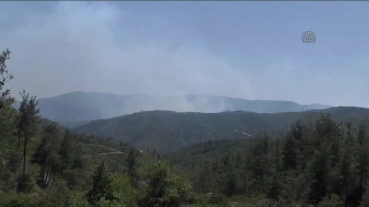Suriye sınırında orman yangını -