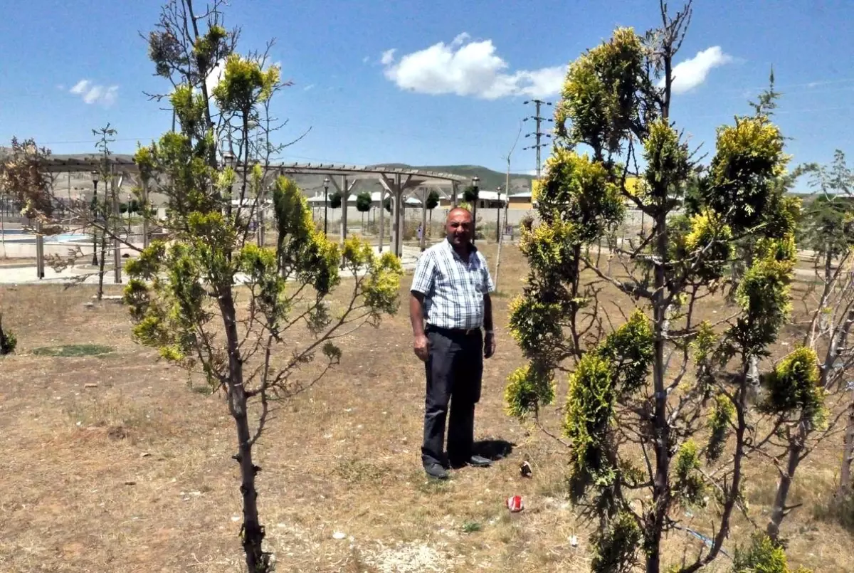 Bitlis\'in En Büyük Parkına "Belediye Sahip Çıkmıyor" İddiası