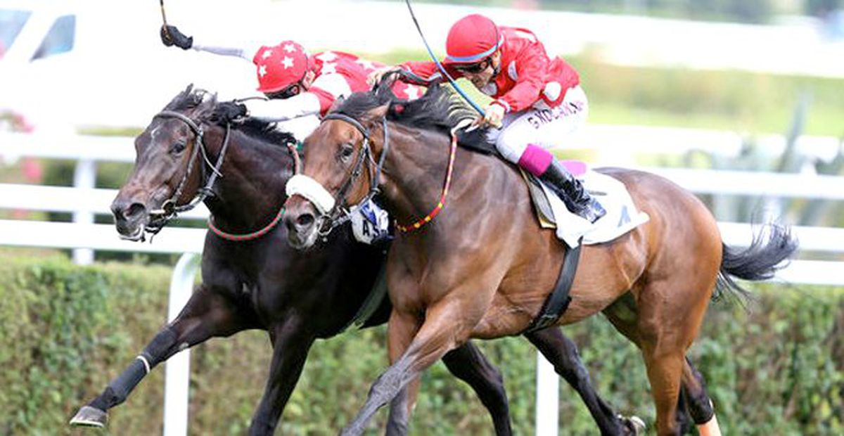 Gazi Koşusu'nu Blaze To Win İsimli At Kazandı