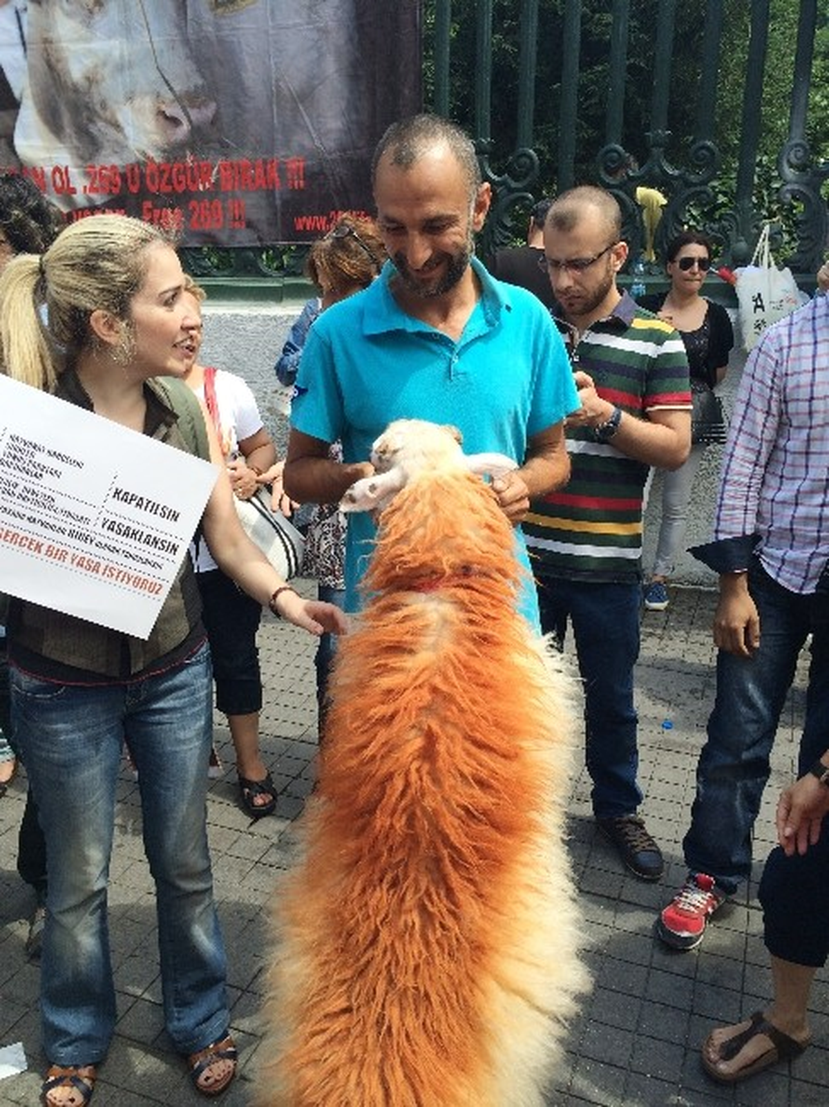 Hayvanseverler, Yeni Tasarıyı Protesto Etti