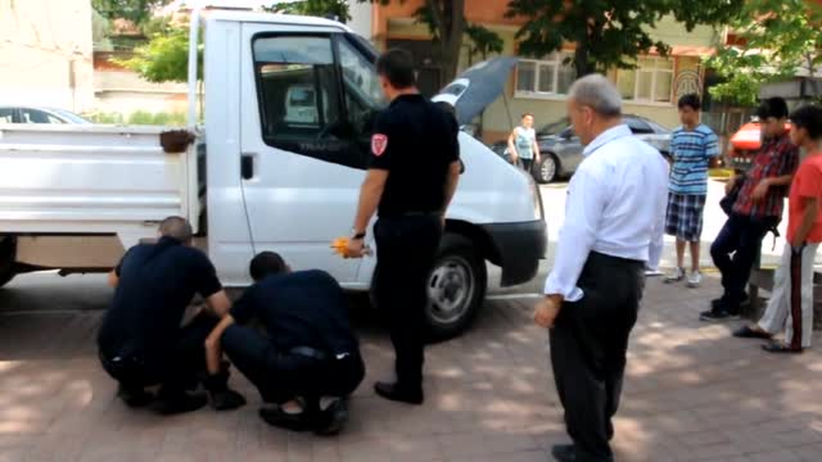 Kamyonette sıkışan kediyi itfaiye ekipleri kurtardı -