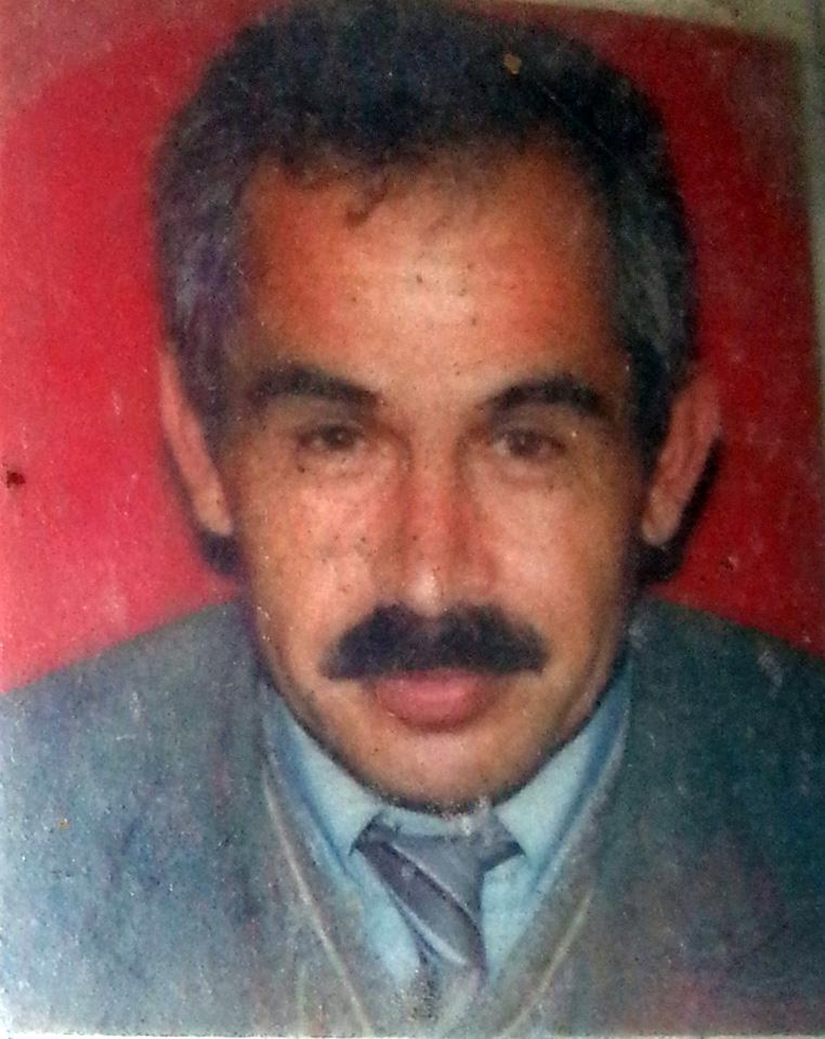 Ağaçtan Düşen Emekli Öğretmen Öldü