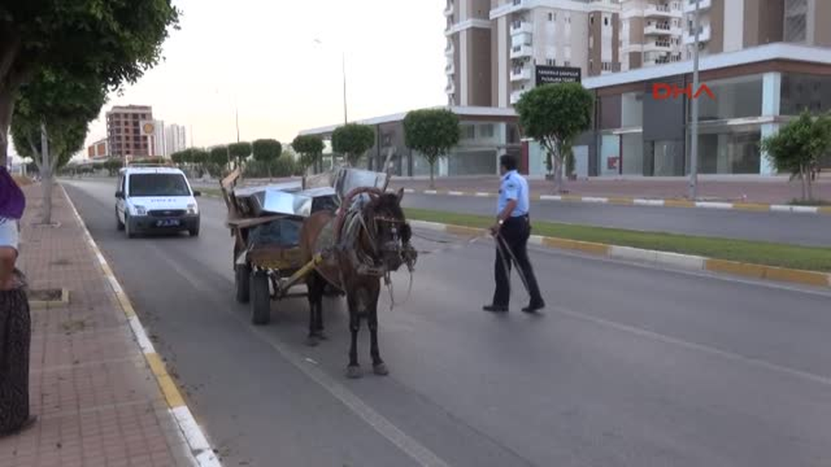 Polis, El Koyduğu At İnat Edince Çekiciyle Götürdü