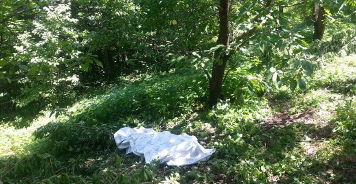 "Bana Bir Şey Olmaz" Dedi, Ağaçtan Düşerek Hayatını Kaybetti
