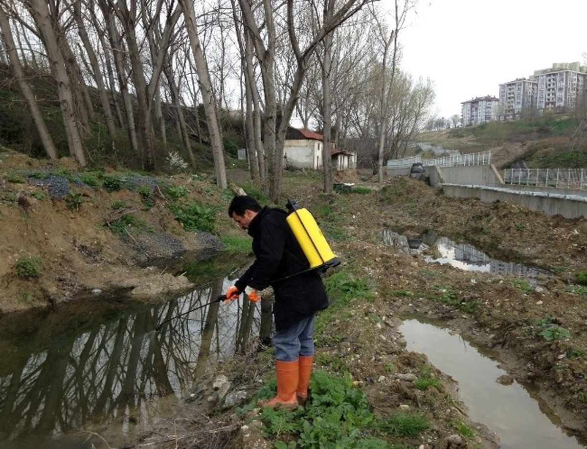 Beylikdüzü 2 Günde Bir İlaçlanıyor