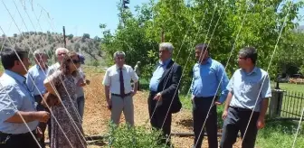 Pütürge'de Organik Tarım ve Sebzecilik Toplantısı