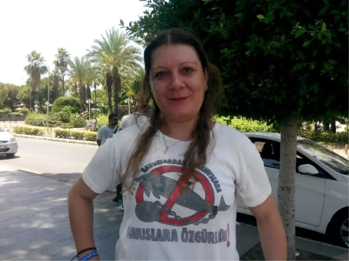 Yunuslara Özgürlük İstediler