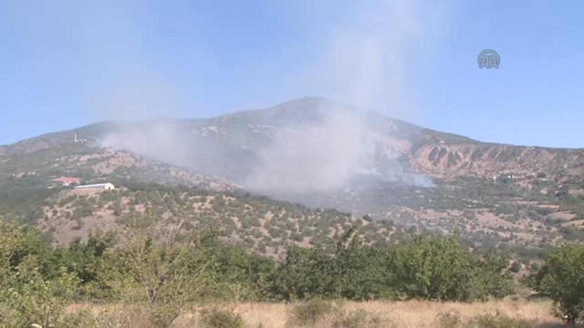 Elazığ\'da orman yangını