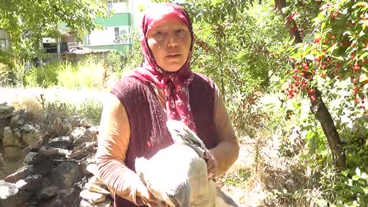 Yaralı leyleğe yardım eli -