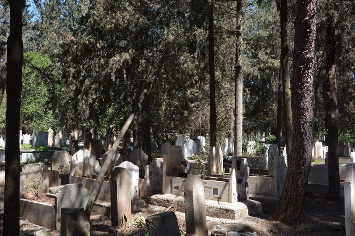 Asri Mezarlıktaki Ağaçların Kesildiği İddiası