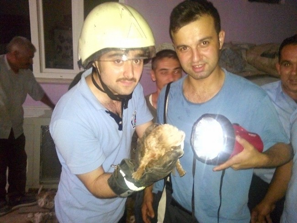 Atık Su Borusuna Sıkışan Yavru Köpek Kurtarıldı