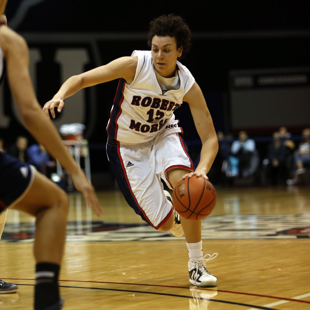 Basketbolda Transfer
