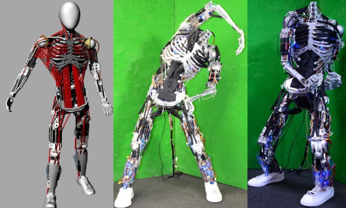 Bu Robotların Gerçek Kasları Var!