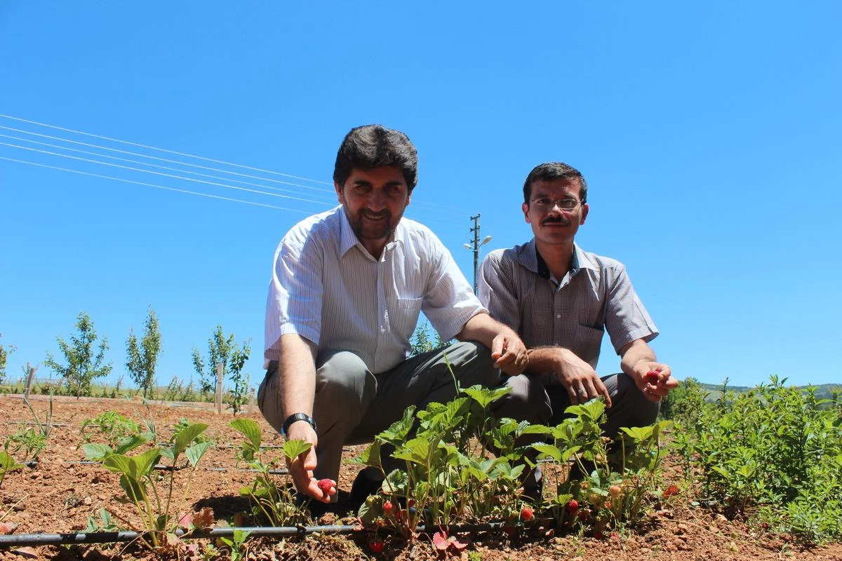 Derbent\'in Dağ Evleri İlgi Çekiyor