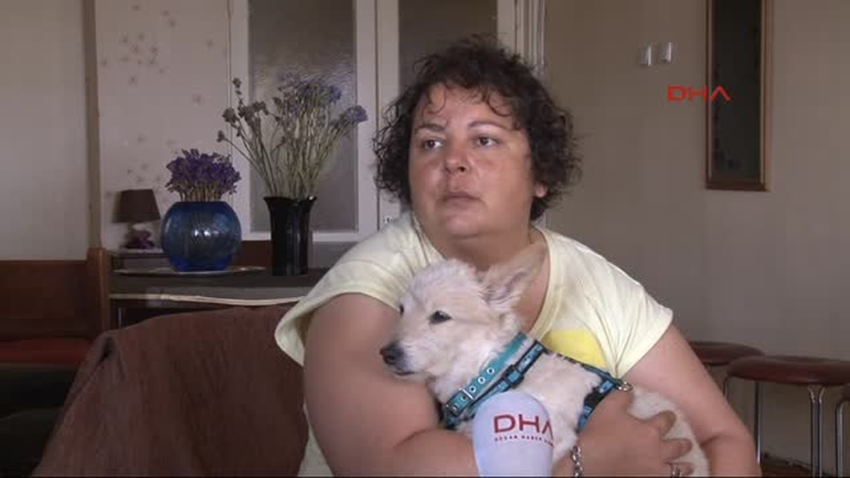 Hayvanseverden Epilepsi İlacı Yakınması