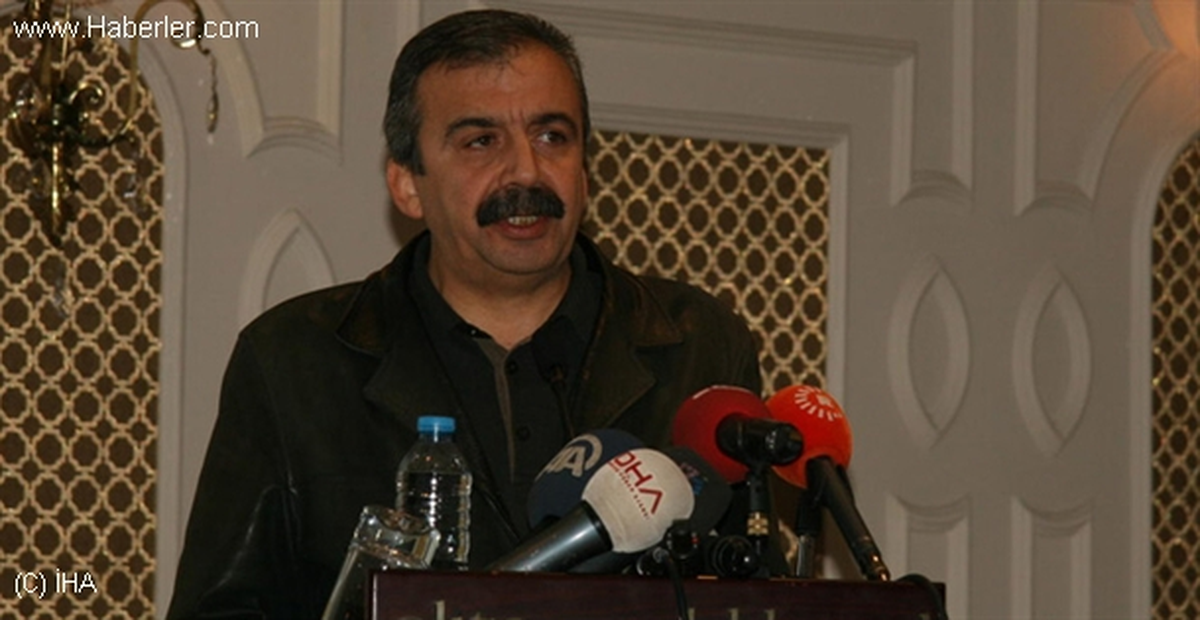 HDP\'li Önder: Erdoğan\'ın Adaylığı Meşru Değil