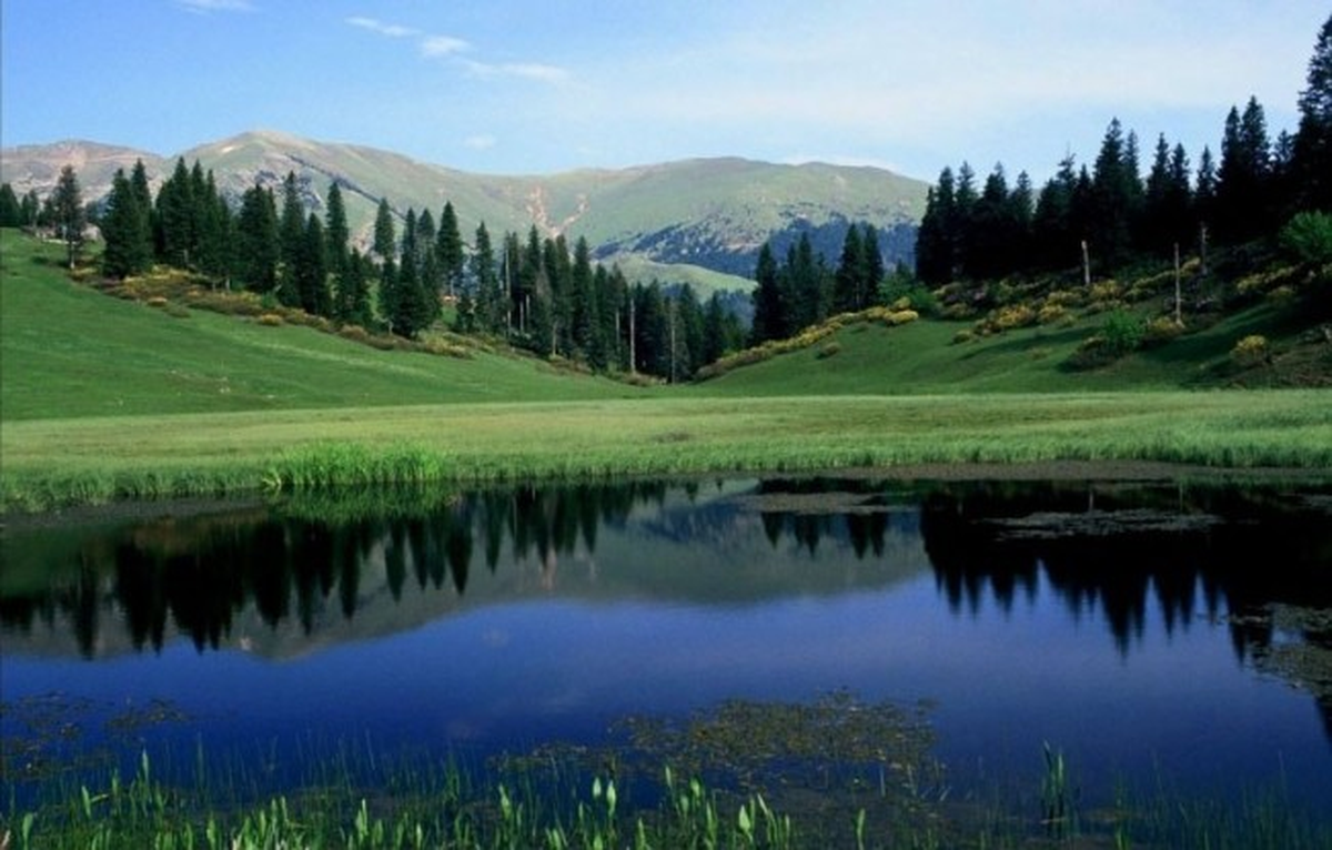 İl Genel Meclisi\'nde Yayla Tartışması