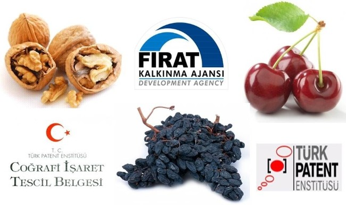 Malatya\'dan 3 Ürün İçin Çoğrafi İşaret Başvurusu
