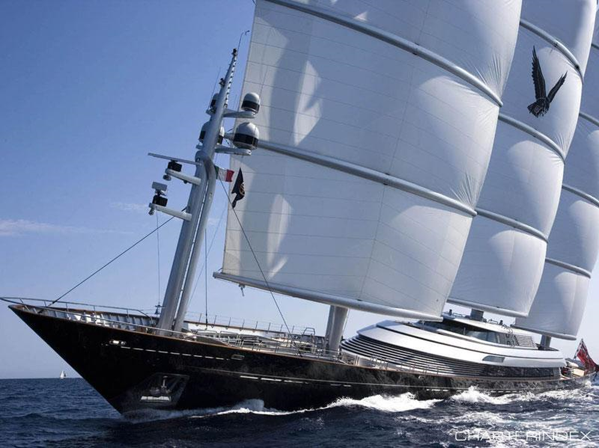 Malta Şahini\' Bodrum\'da