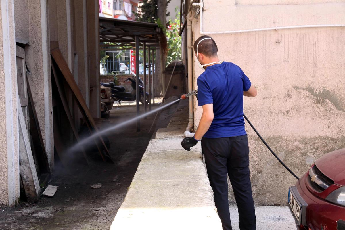 Rize Belediyesinin Haşerelerle Mücadelesi