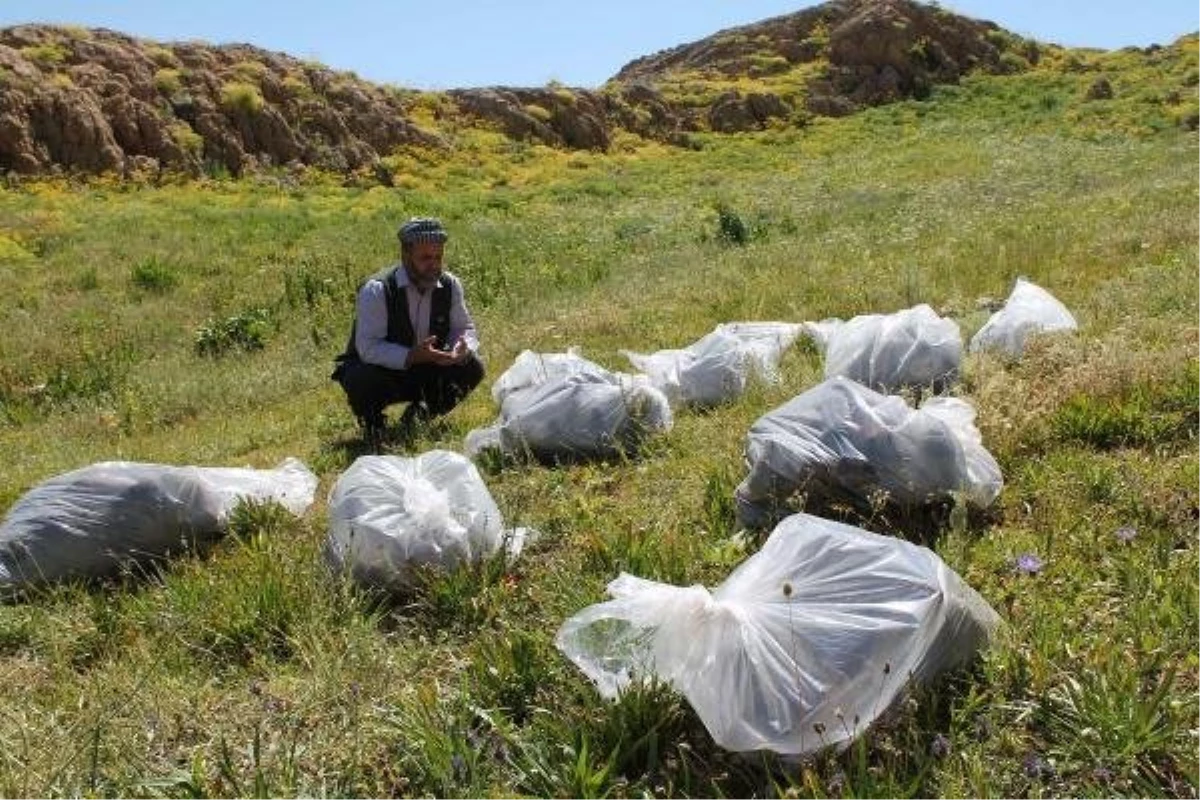 Kato Dağı\'nda 12 PKK\'lının Gömüldüğü Toplu Mezar