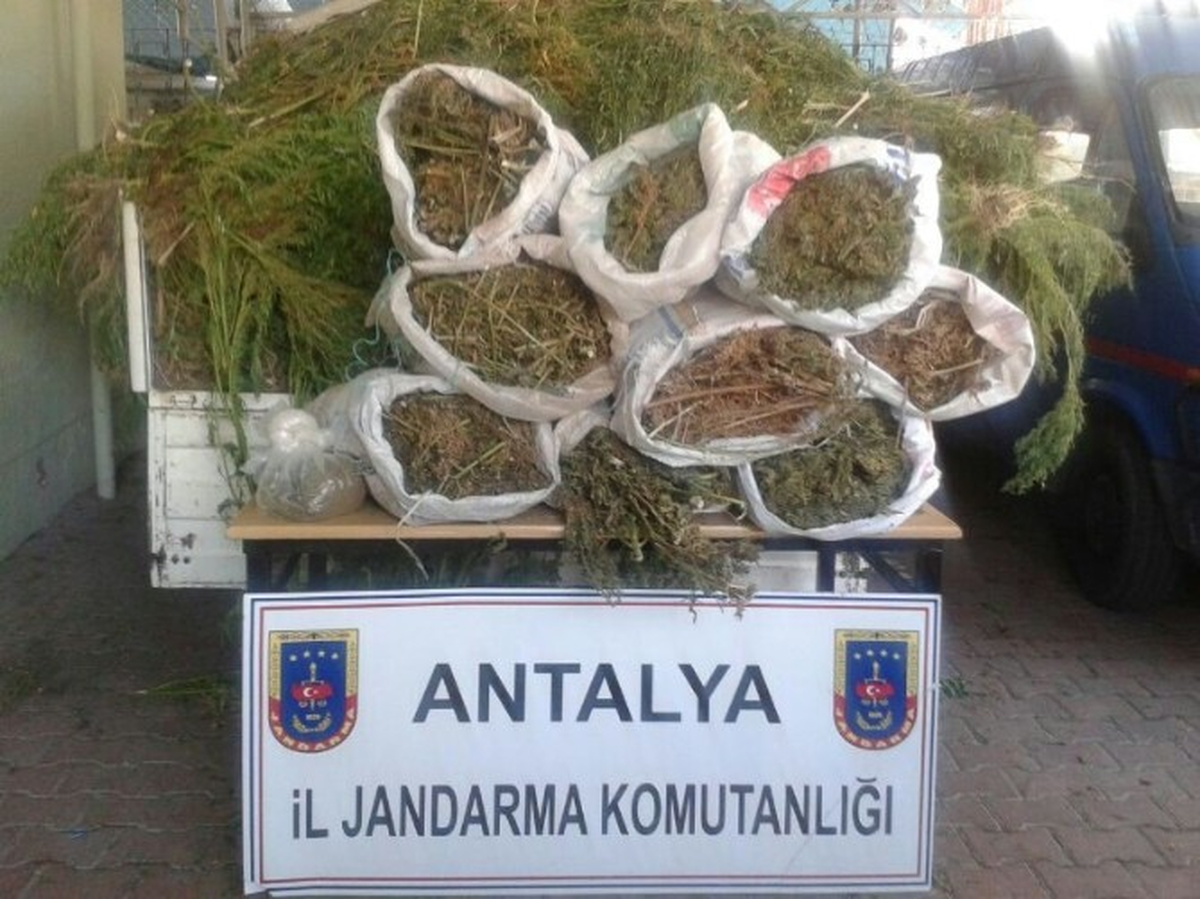 Antalya\'da Kenevir Operasyonu