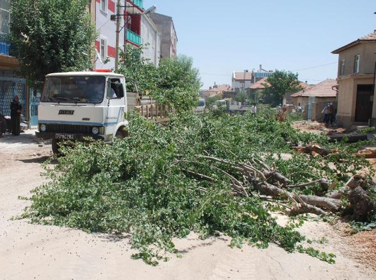 Karaman\'da Belediyenin Yol Genişletme Çalışması Sırasında Ağaçları Kesmesi Tepkiye Neden Oldu