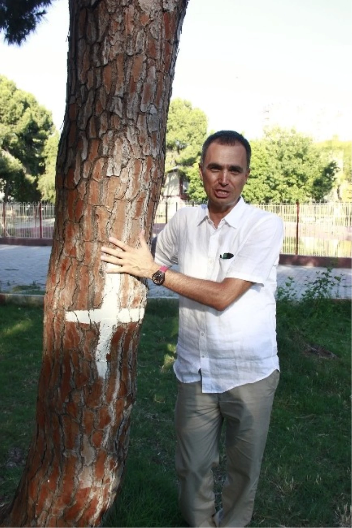 Kesilecek Ağaçlar İçin "Evlat Edinme" Kampanyası