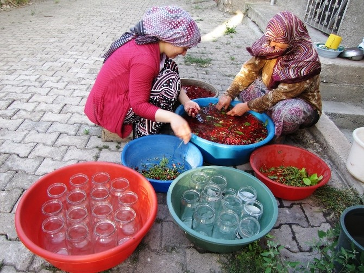 Para Etmeyen Vişneler Konserve Yapılıyor