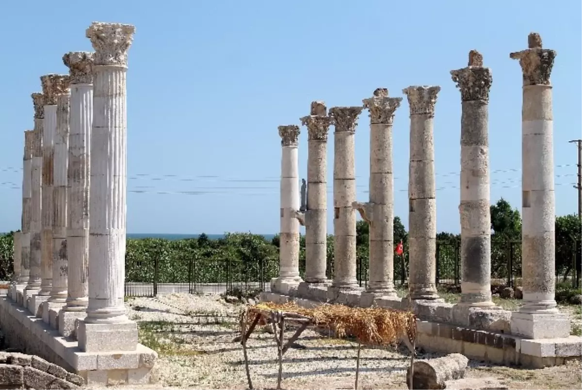 Soli Pompeipolis Kazıları 15 Temmuz\'da Başlayacak