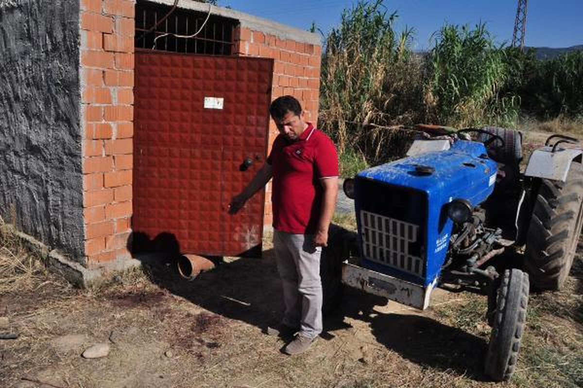AK Partili Başkanın Kuzeni Boğazı Kesilerek Öldürüldü