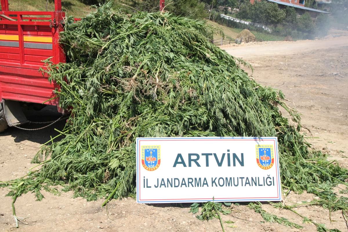 Artvin\'de Uyuşturucu Operasyonu