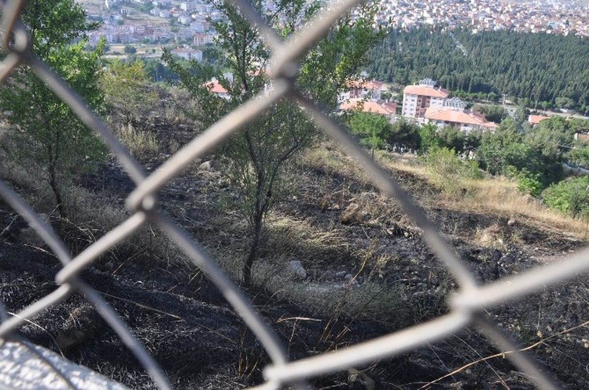 Balıkesir\'de Arazi Yangını Korkuttu