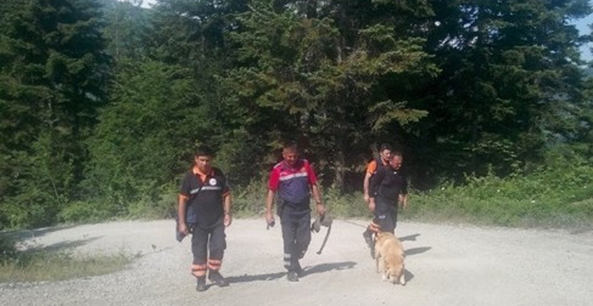 Kastamonu\'da Ormanlık alana Giden Yaşlı Kadın İki Gündür Kayıp