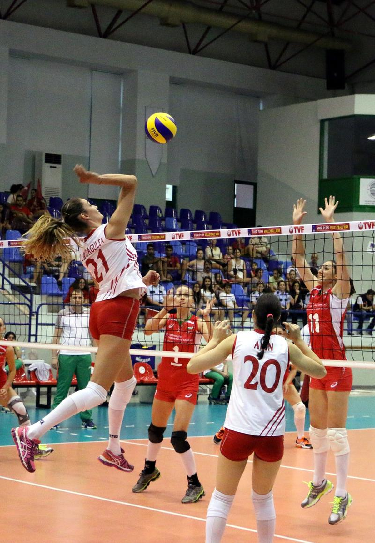 Voleybol: Cev Avrupa Bayanlar Ligi