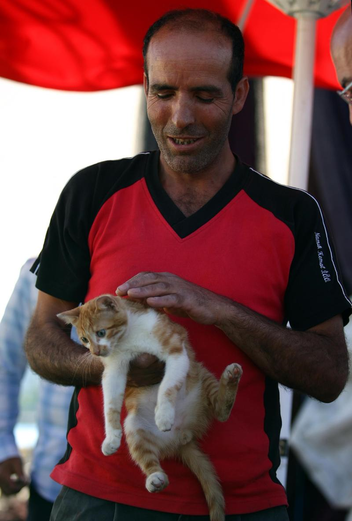 Yaralı Kediye Balıkçılar Sahip Çıktı