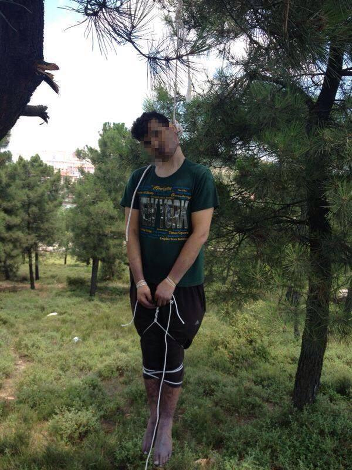 Adıyaman\'dan Geldi, Gebze\'de Ağaca Asılı Cesedi Bulundu