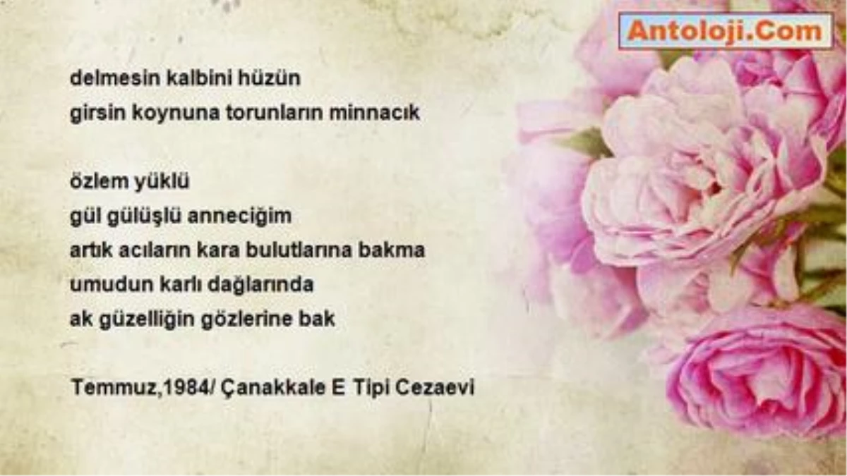 Ahmet İnce - Ak Güzellik