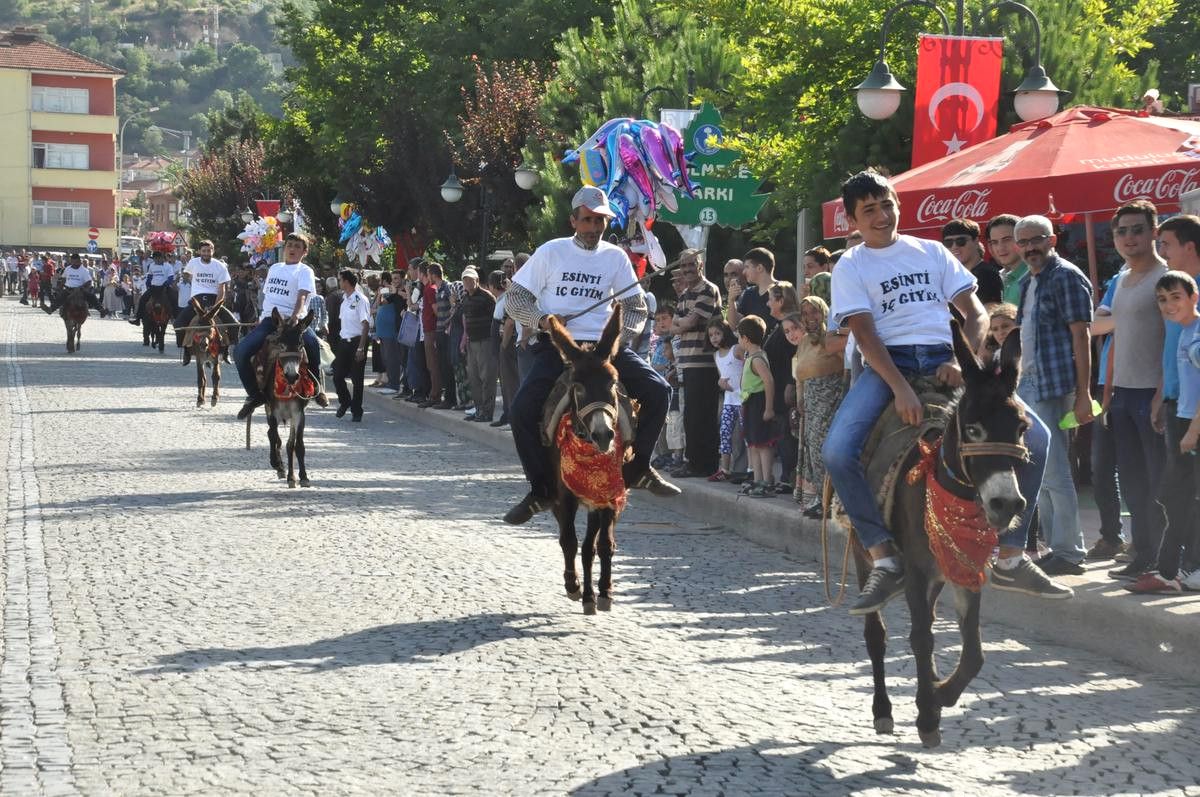 Akşehir\'de "Eşeğe Binme" ve "En Güzel Gözlü Eşek" Yarışması