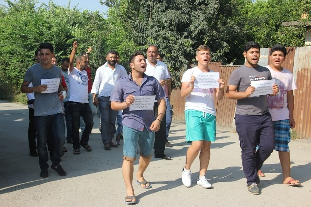 Bonzai\'ye Savaş Açtılar