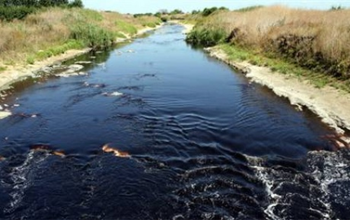Ergene Nehri\'ndeki Kirlilik