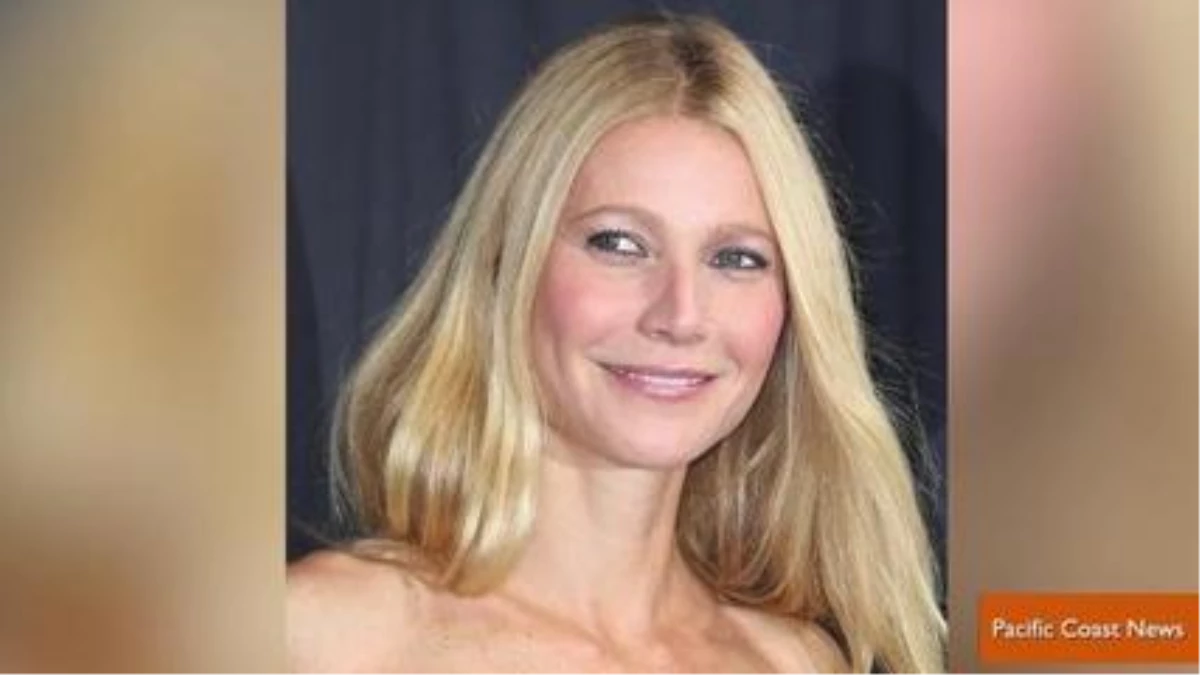 Gwyneth Paltrow Compares Internet Insults To Being At War