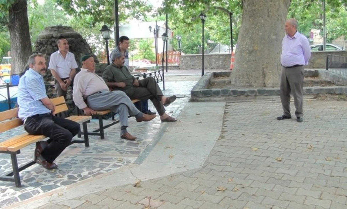 Harput\'taki Tarihi Çınar Ağacı Yıllara Meydan Okuyor