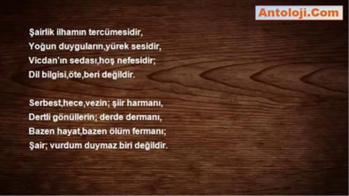 İbrahim Etem Ekinci - Antoloji