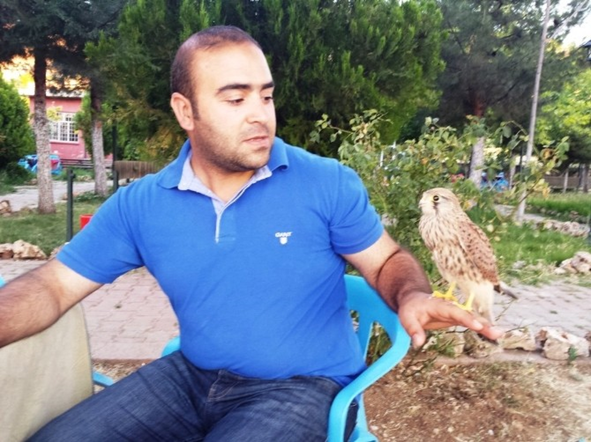 İyileştirilen Atmaca Kendisini Tedavi Ettirenleri Bırakmıyor