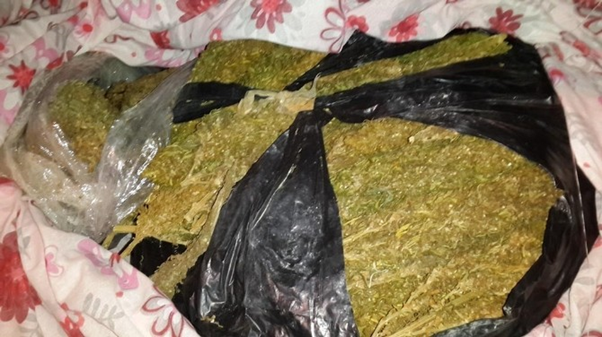 Malatya\'da 232 Kilo Esrar Ele Geçirildi