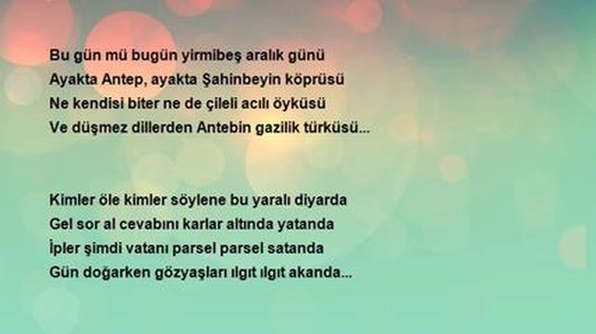 Niyazi Sakar - Gaziantep'in Kurtuluş Tarihi 25 Aralık 1921